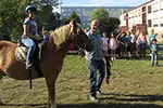 Reiten