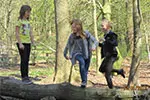 Easy Zusammenspiel
