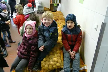 Projekttag der Klasse Flex B